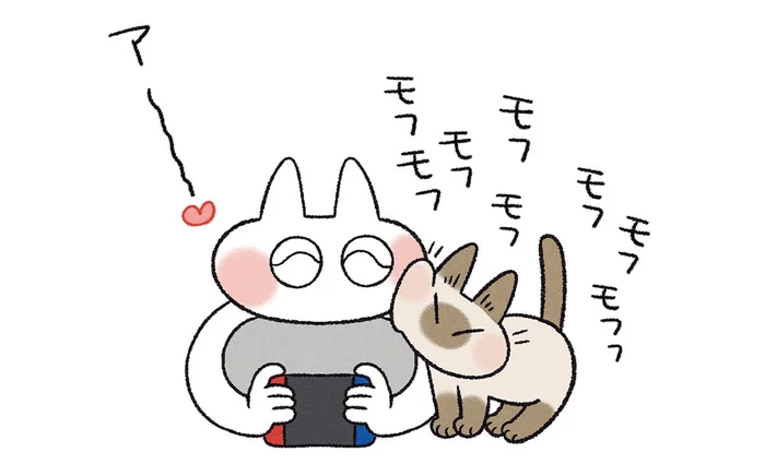 前を通るたびに構っちゃう！ 飼い主と猫の愛情表現