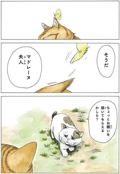 ちょっとお願いを聞いてもらえるかしら？
