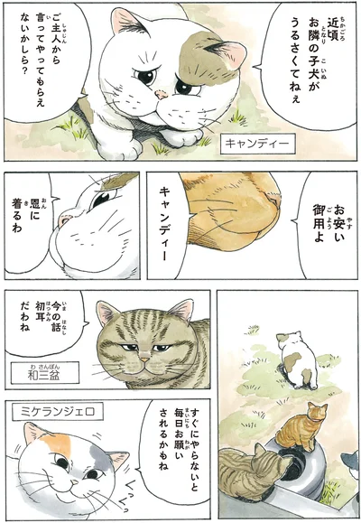 お安い御用よ