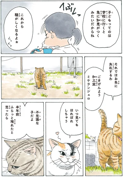 いつ見てもほれぼれしちゃう