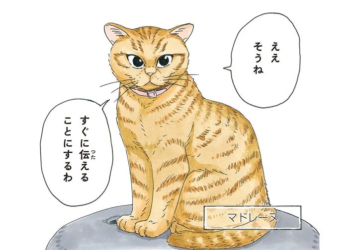 半年前にふらりとやってきたアカトラ猫。その名はマドレーヌ！／かのこちゃんとマドレーヌ夫人（1）