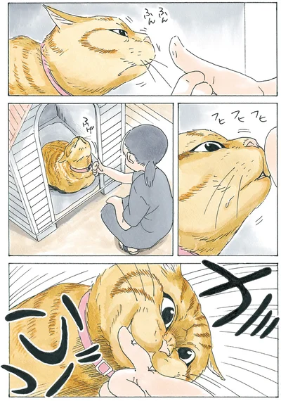 『かのこちゃんとマドレーヌ夫人』より