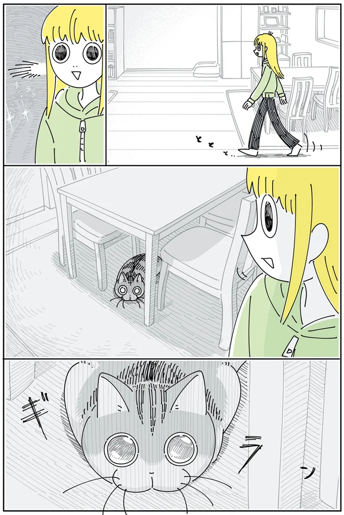 飛びつこうとしてるネコ