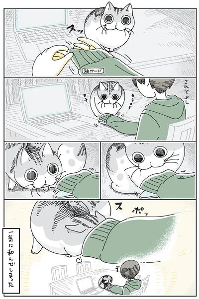 一気に和んでしまった
