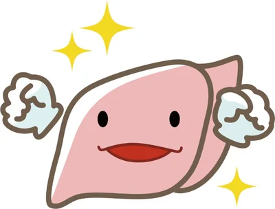 肝臓の働きを改善