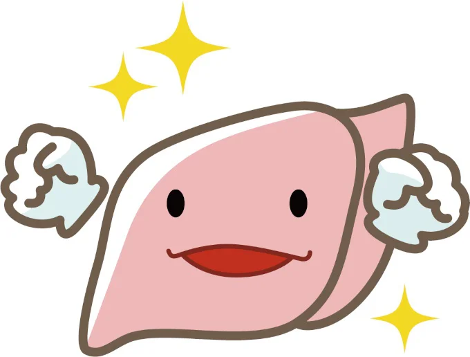 肝臓の働きを改善