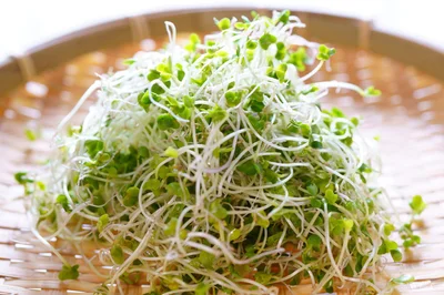 話題の神食材がダイエットの味方に！