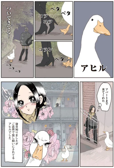 ついてきてる...