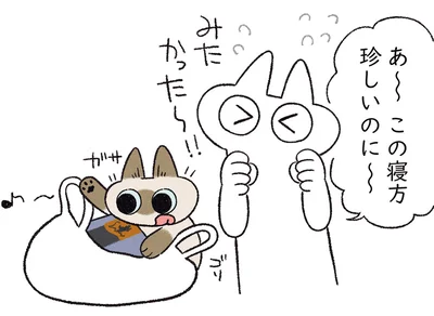 みたかった〜！！