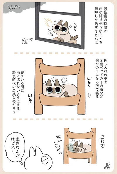 室内なんだけどね…