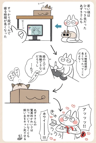 カワイーーーー！！