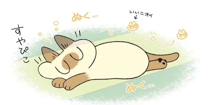 日向ぼっこの恩恵を存分に受けます！ お日様みたいな愛猫のにおい