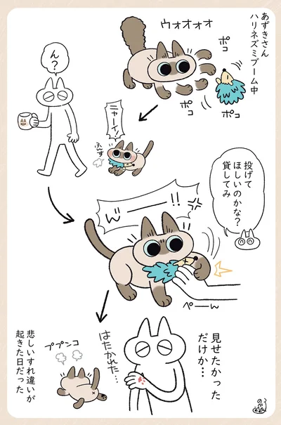 ハリネズミブーム中