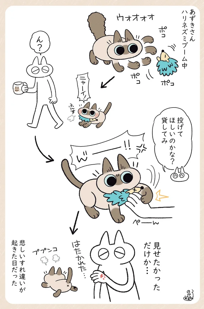 ハリネズミブーム中
