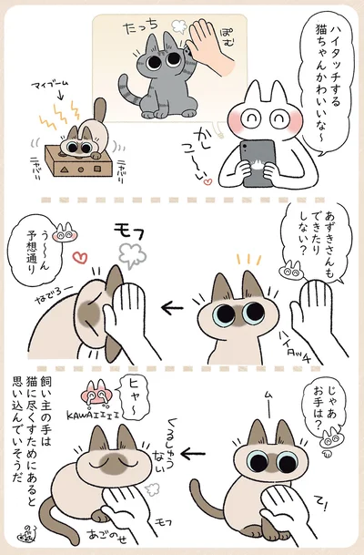 う～ん予想通り