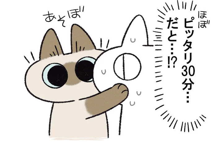 猫の体内時計が凄まじすぎる！ ほぼピッタリ30分を測られ驚きです