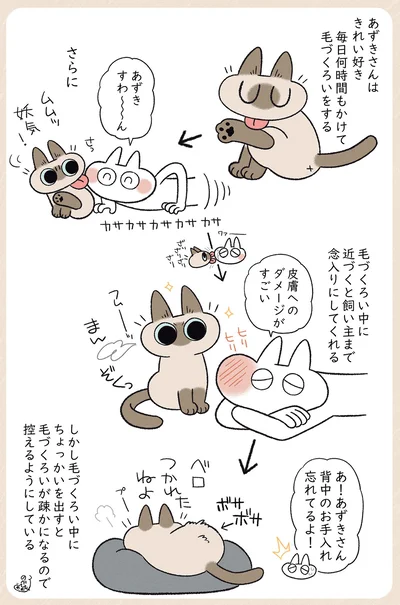あずきさんはきれい好き