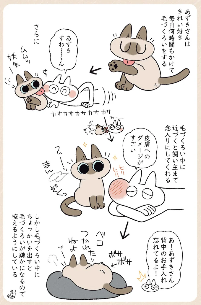 あずきさんはきれい好き