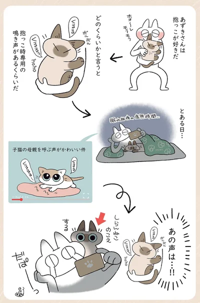あずきさんは抱っこが好きだ
