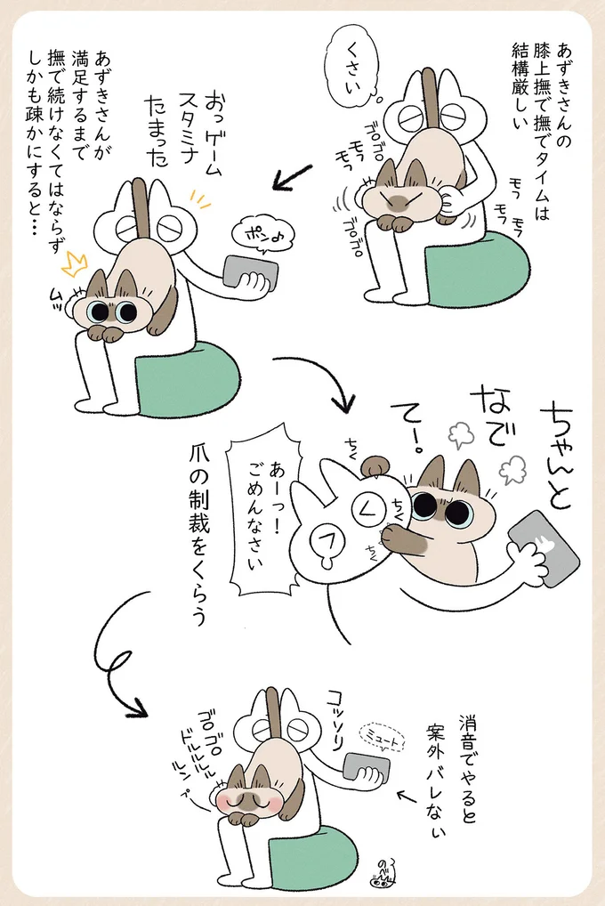 爪の制裁