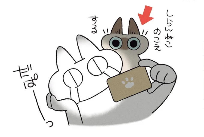 だぱーっ