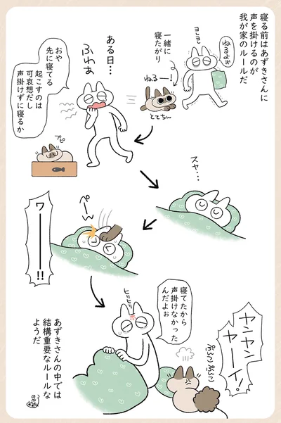 あずきさんの重要なルール