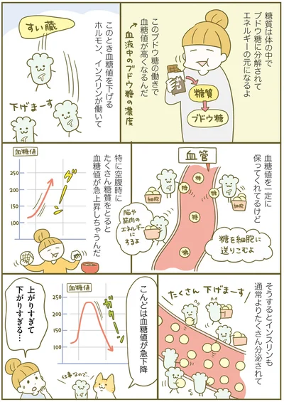 血糖値が急上昇ののち急下降