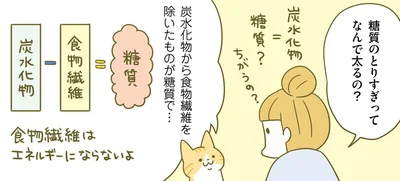 なんで太るの？