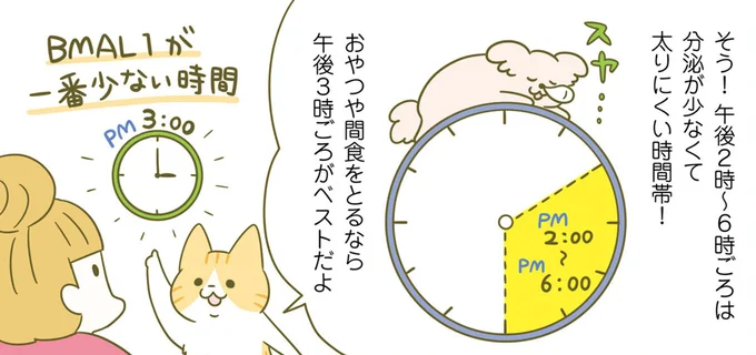 BMAL1が一番少ない時間におやつを