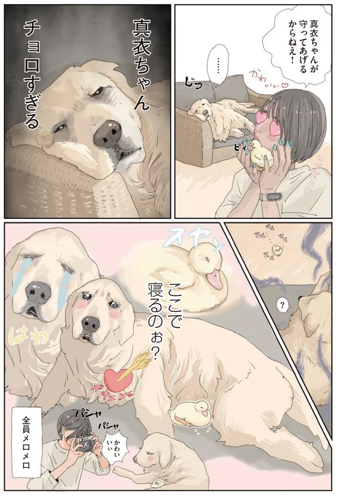ここで寝るのぉ？