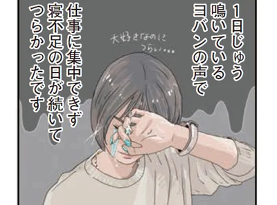 生後1ヶ月のヒヨコをお迎え。24時間体制のお世話で育児ノイローゼぎみに!?