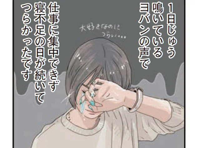 生後1ヶ月のヒヨコをお迎え。24時間体制のお世話で育児ノイローゼぎみに!?