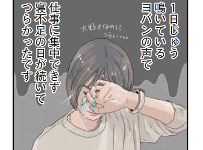 生後1ヶ月のヒヨコをお迎え。24時間体制のお世話で育児ノイローゼぎみに!?
