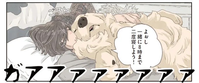 二度寝は許されない! 犬とアヒルを飼う作家のモーニングルーティーン