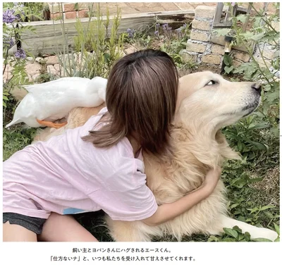 飼い主とヨバンさんにハグされるエースくん
