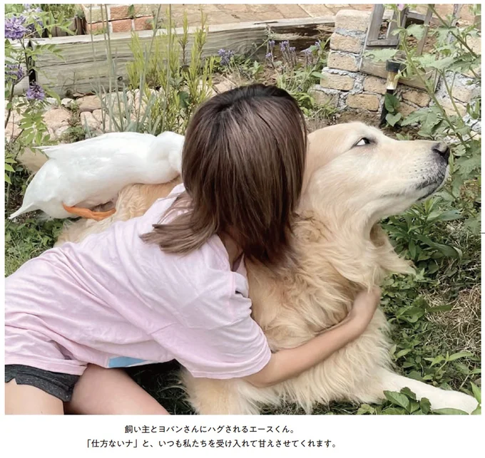 飼い主とヨバンさんにハグされるエースくん