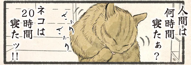 「何時間寝たぁ？」人間よりも長く眠るネコが気づいたこと