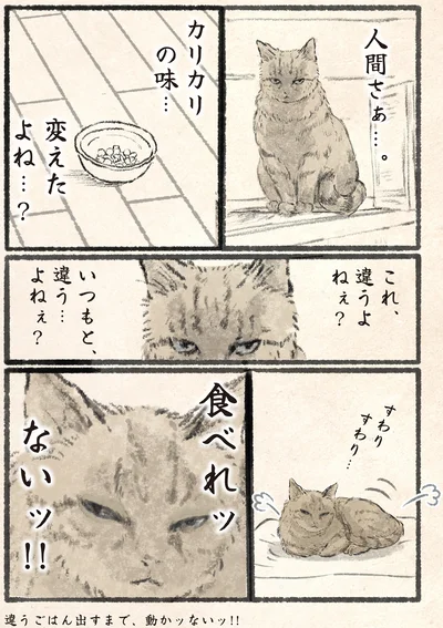『今日もネコ様の圧が強い』より
