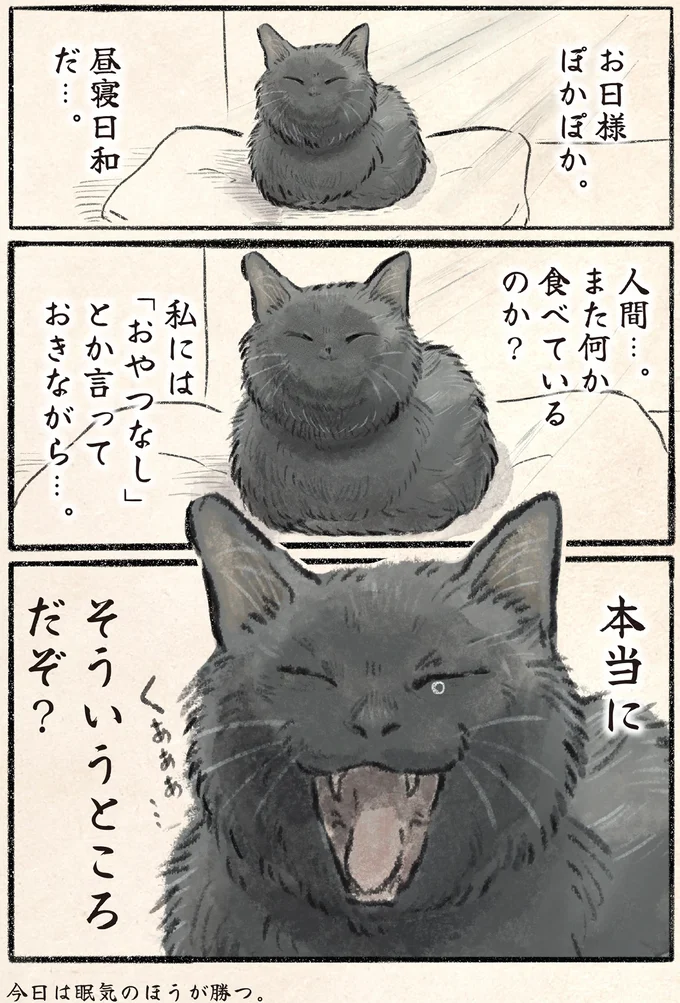 『今日もネコ様の圧が強い』より