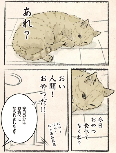 『今日もネコ様の圧が強い』より