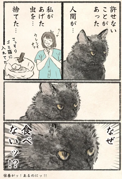『今日もネコ様の圧が強い』より