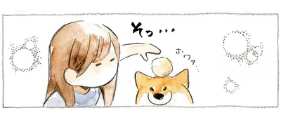 頭にのせてみると…