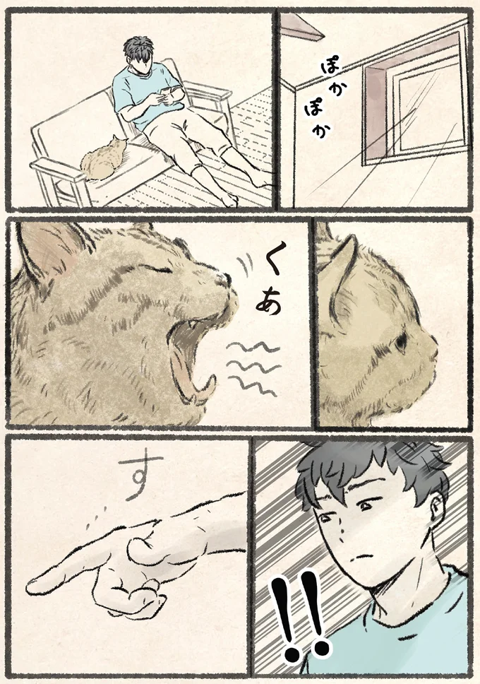 あくびをするネコ