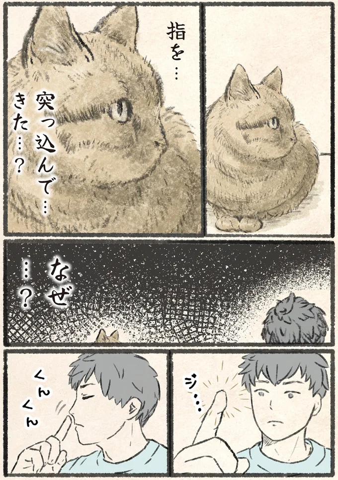 なぜ…？