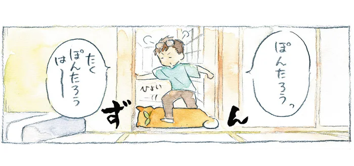 柴犬による廊下の通せんぼ！ しかし、飼い主たちは動じません