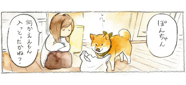「みやげをよこせ」買い物袋に頭を突っ込んだ後に要求してくる柴犬