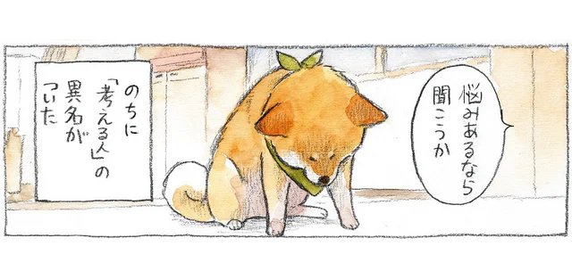 悩みでもあるの？ うつむいたまま動かない柴犬に名付けられた異名「考える犬」