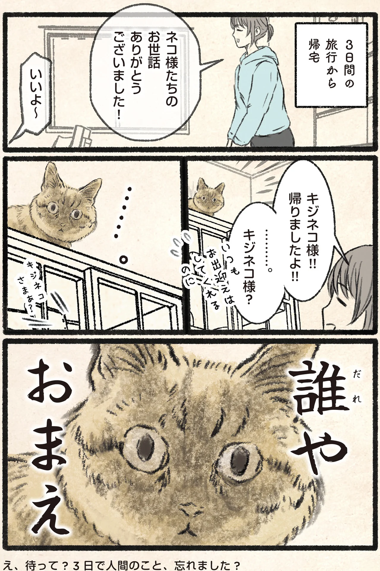 月子様専用ページ 月子様専用ページ ねこ^_^様 ろ