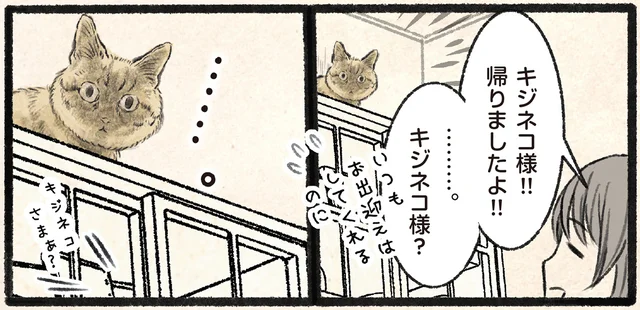 「キジネコ様！帰りましたよ！」旅行から戻った飼い主への反応とは
