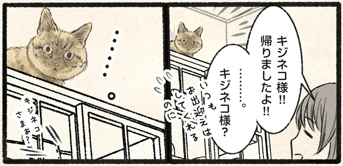 帰りましたよ!!